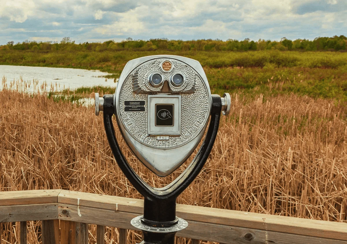A prototype Tower Optical binocular viewer with a built-in tap-to-pay contactless payment system, installed on a wooden viewing platform overlooking wetlands