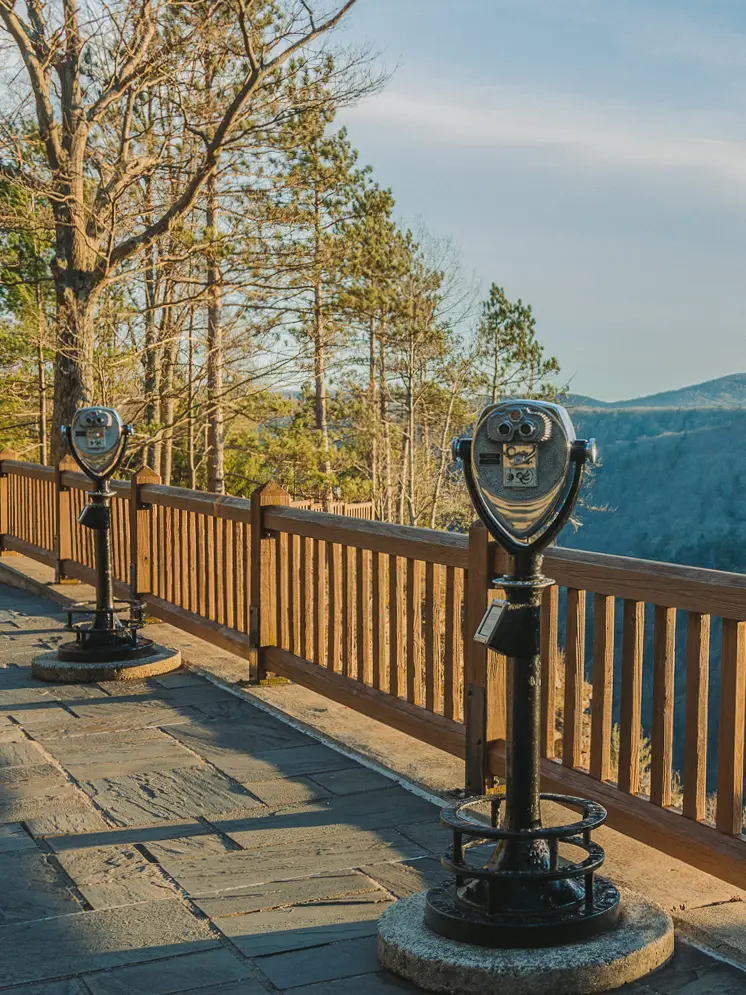 A row of Tower Optical coin-operated binocular viewers installed along a mountain viewpoint