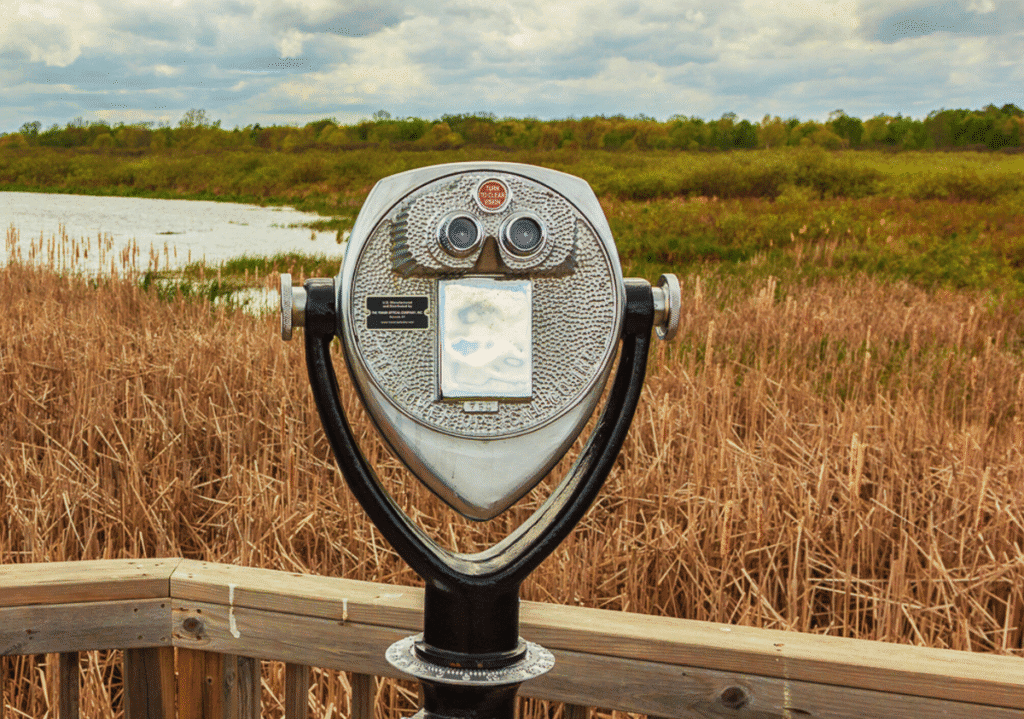 View of Tower Optical coin-operated binocular viewer looking at the water