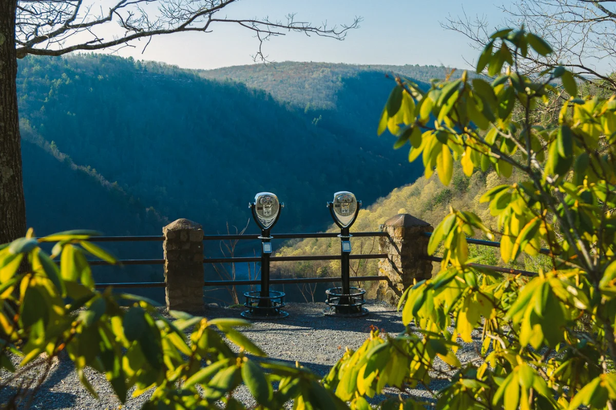 Two Tower Optical coin-operated binocular viewers at a scenic mountain overlook surrounded by trees and distant hills.